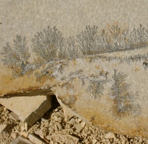 Piedra Solnhofen con dendritas