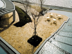 Piedra Solnhofen irregular